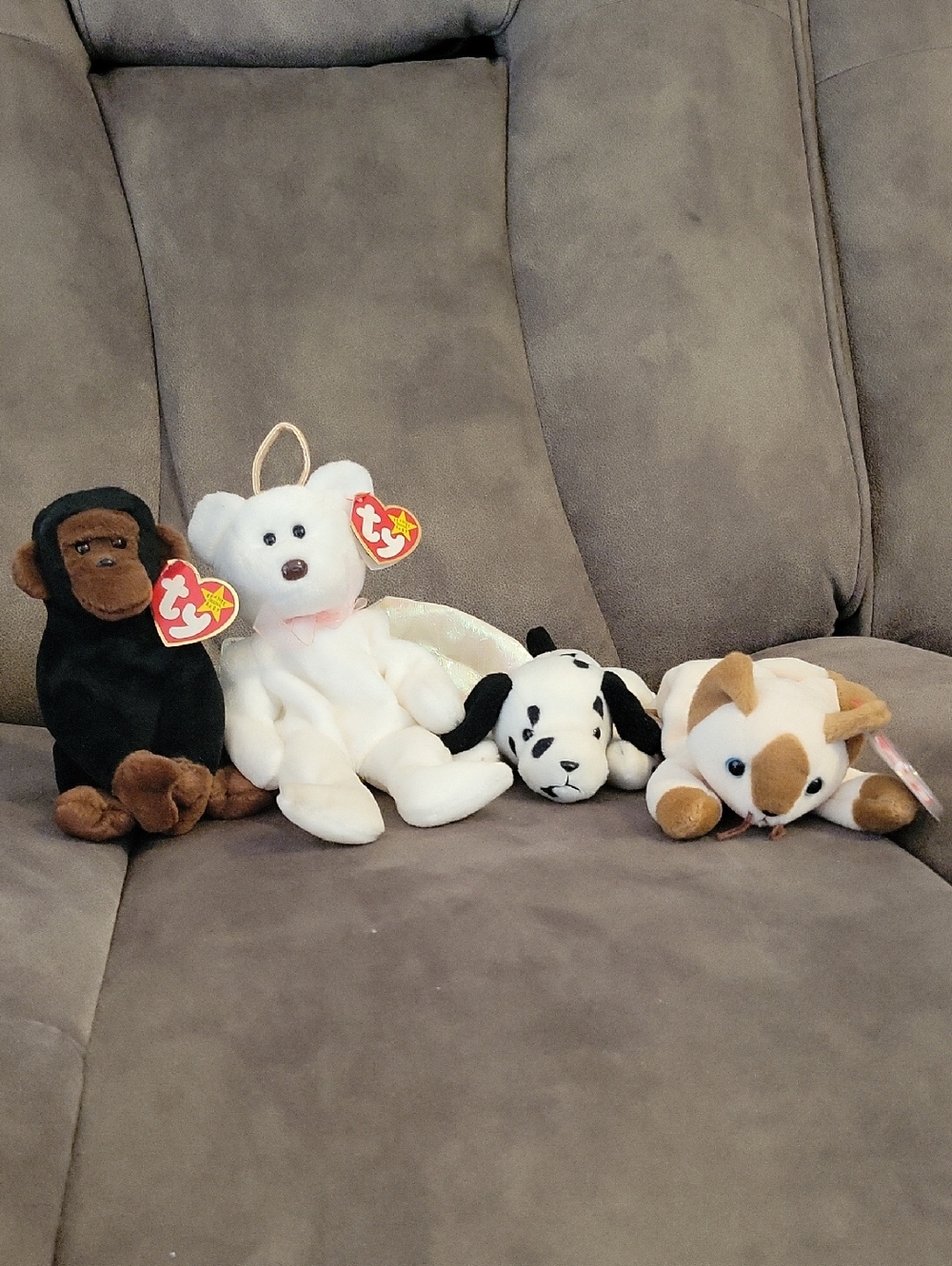 Ty Beanie Babies Mixed Plush Bundle - White, Black, Brown, Tan